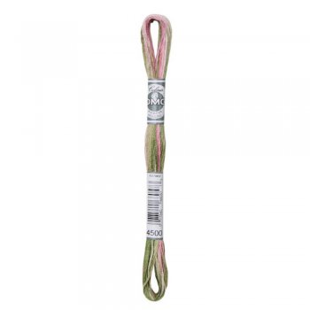 DMC Mouliné Coloris 4500 