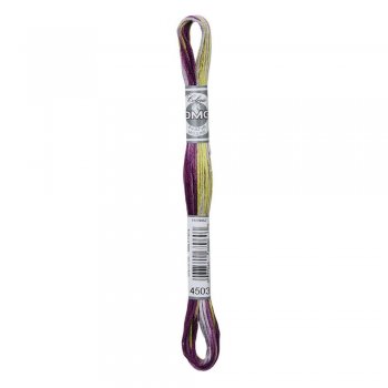 DMC Mouliné Coloris 4503 