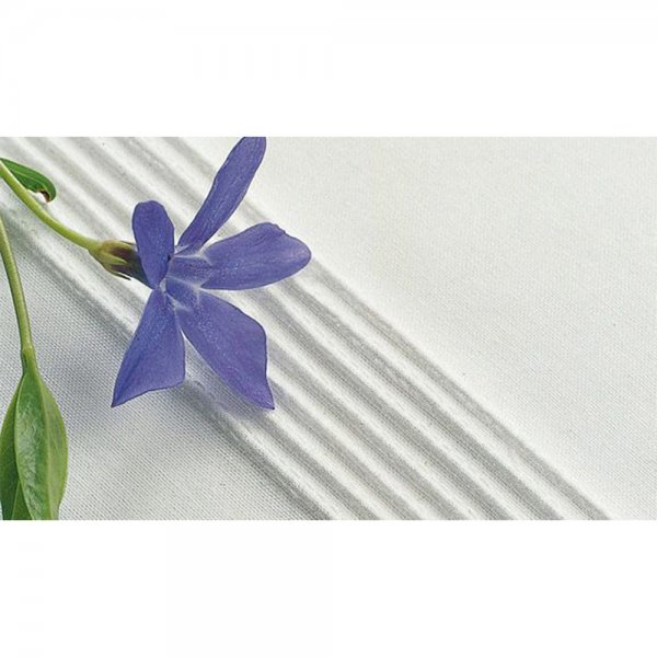 Biesenfot 7 sparig husqvarna