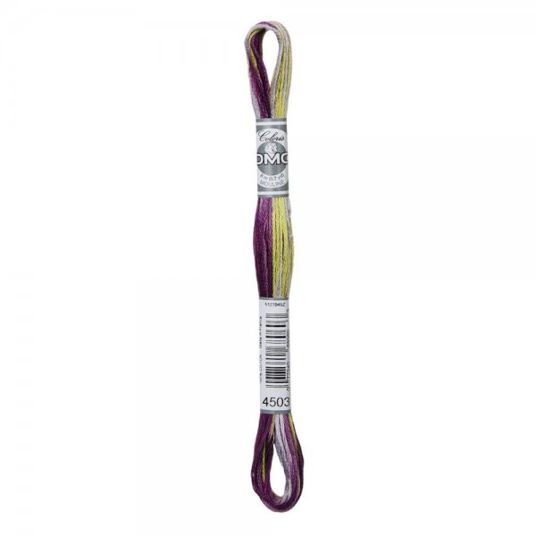 DMC Mouliné Coloris 4503 